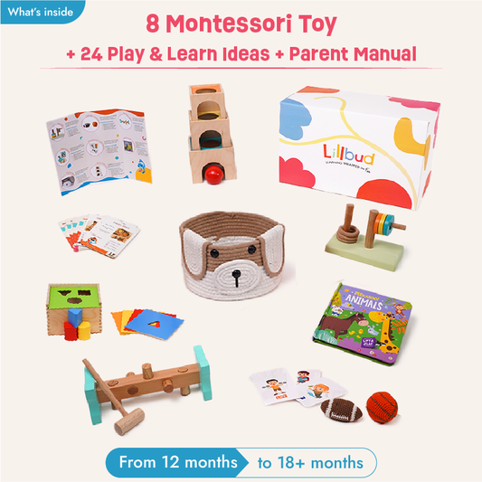 Learning Leaps - 12 to 14 months (All-Rounder Kit)