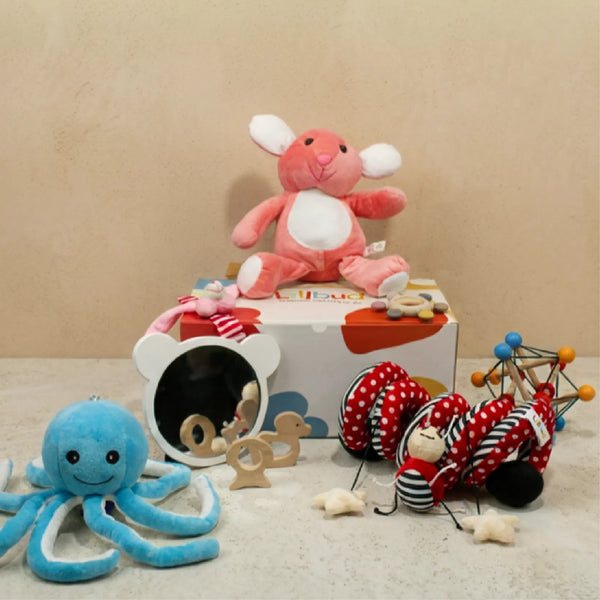 Buy Curious Gaze - 3 to 6 months (All-Rounder Kit) Online - Lillbud