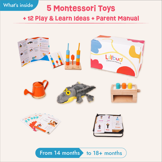 Playful Adventures - 14 to 16 months (Essentials Kit)