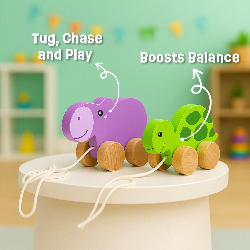 Pull Along Toys set for toddlers - Teaches Empathy, balance and coordination