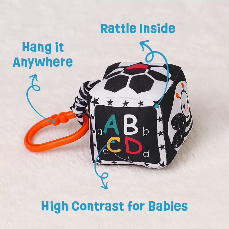 Buy B&W Discovery Cube with Rattle Online - Lillbud 