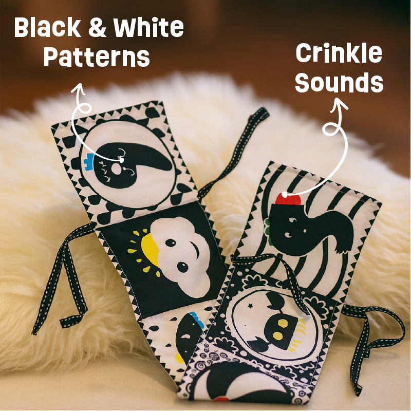 Black and White Cloth Book