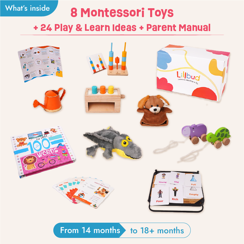 Buy Playful Adventures - 14 to 16 months (All-Rounder Kit) Online - Lillbud 