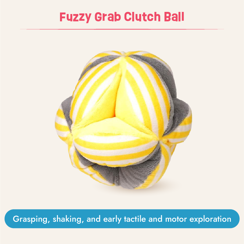 Curious Gaze - 2 to 4 months (Essentials Kit)