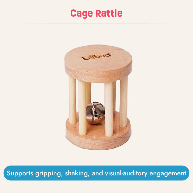 Curious Gaze - 2 to 4 months (Essentials Kit)