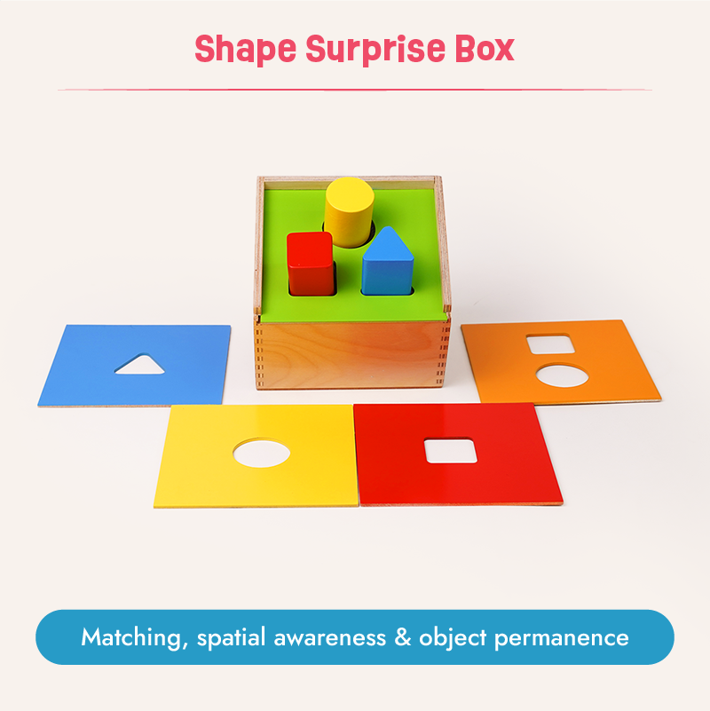 Buy Learning Leaps - 12 to 14 months (Essentials Kit) Online - Lillbud 