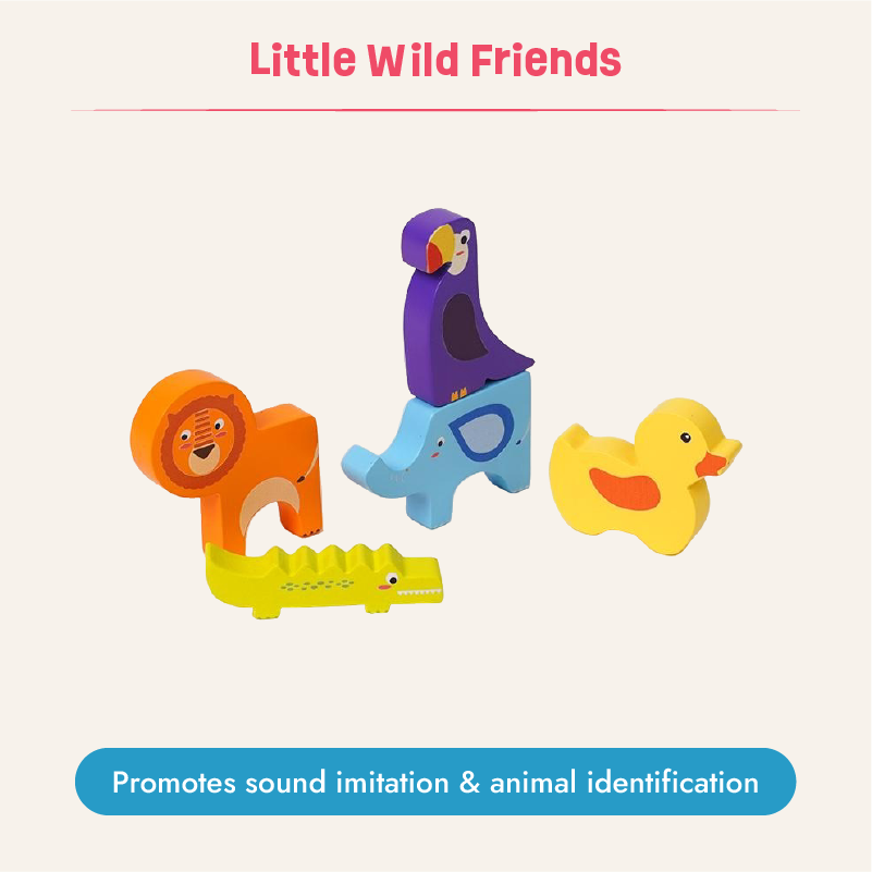Buy Big Discoveries - 16 to 18 months (Essentials Kit) Online - Lillbud 