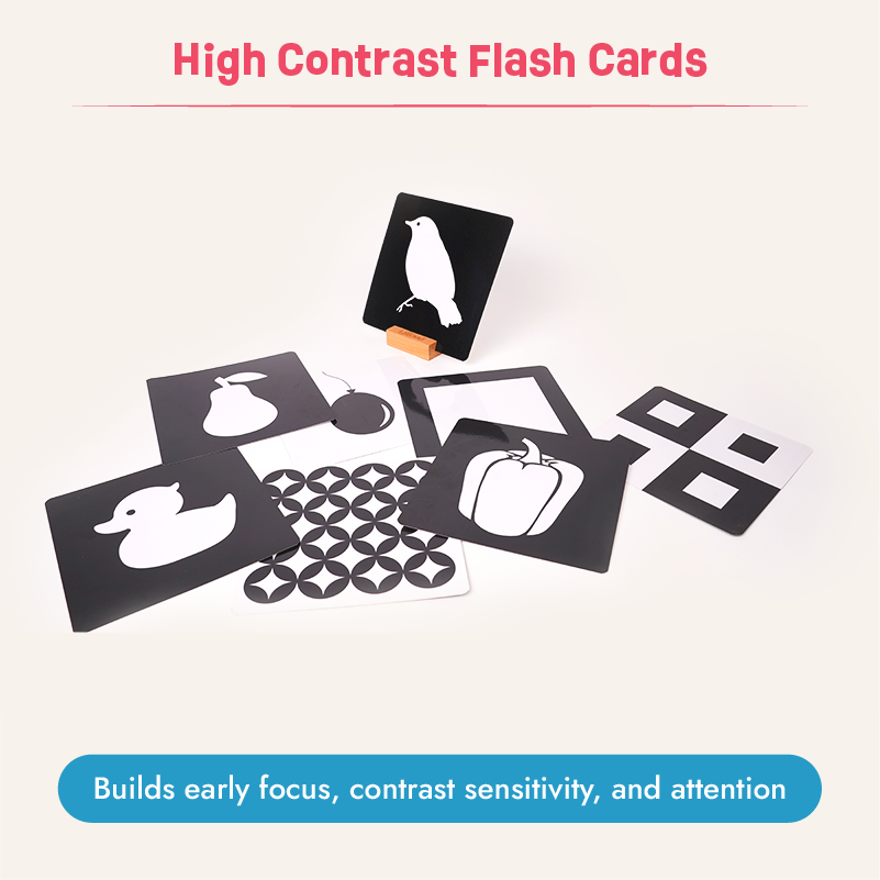 Curious Gaze - 2 to 4 months (Essentials Kit)