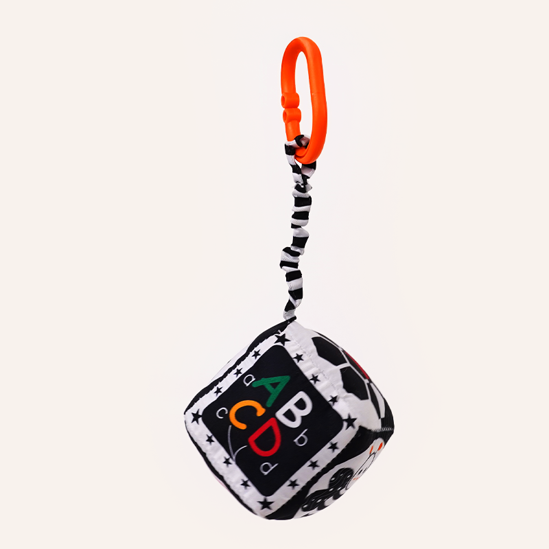 Buy B&W Discovery Cube with Rattle Online - Lillbud 