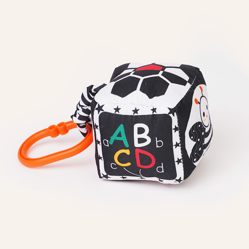 Buy B&W Discovery Cube with Rattle Online - Lillbud 
