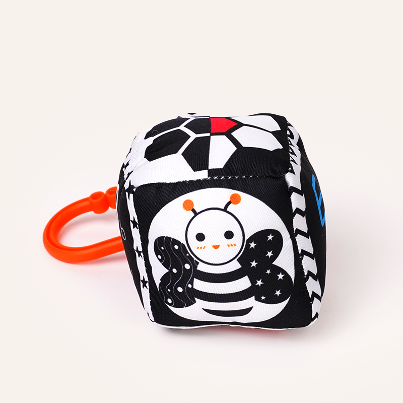 Buy B&W Discovery Cube with Rattle Online - Lillbud 