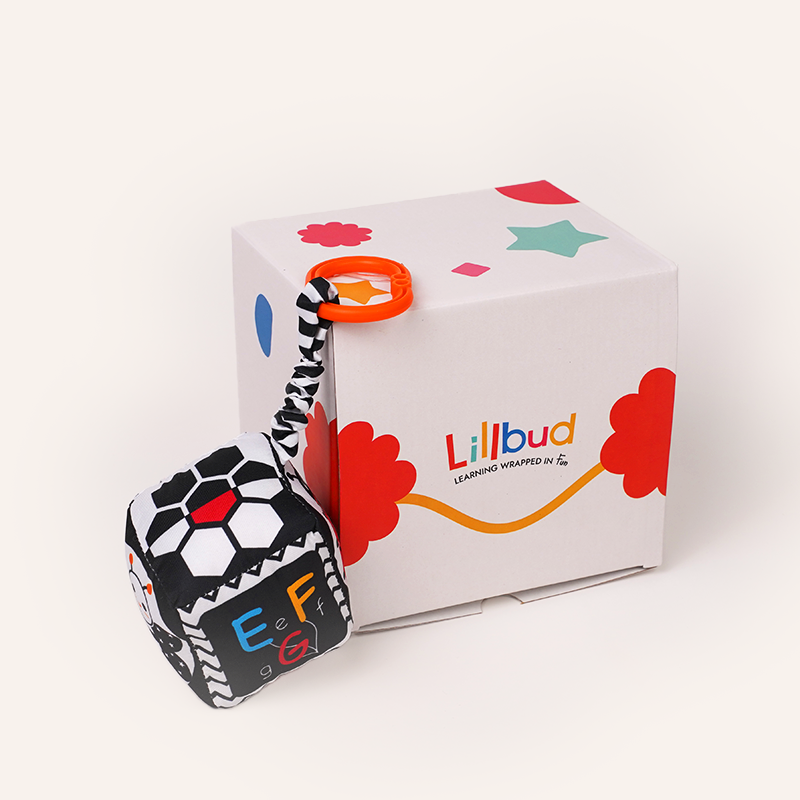 Buy B&W Discovery Cube with Rattle Online - Lillbud 