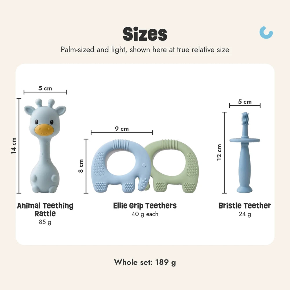 Big Bite Set sizes, shown at true relative size