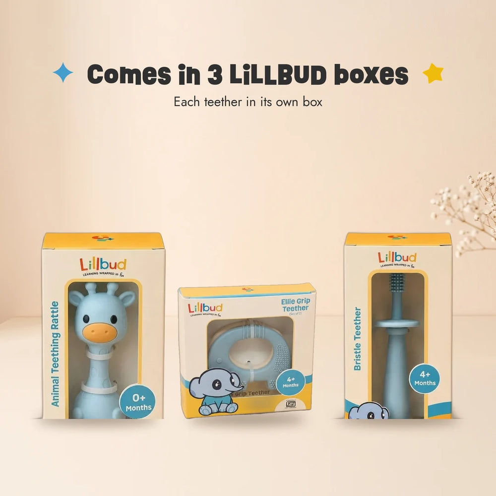 The LiLLBUD boxes in the Big Bite Set