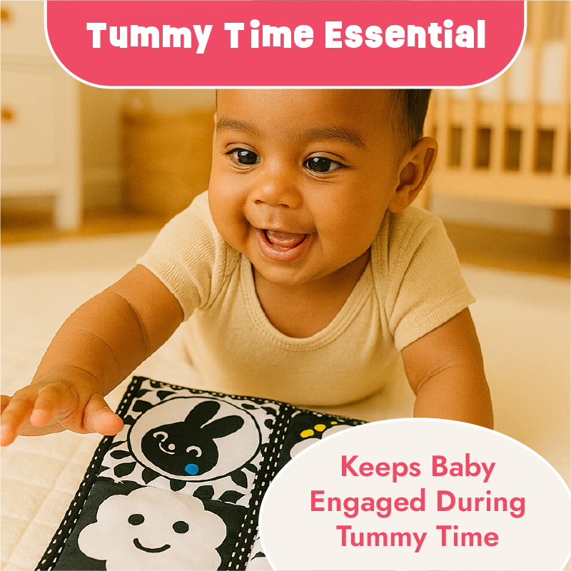 Black and White Cloth Book