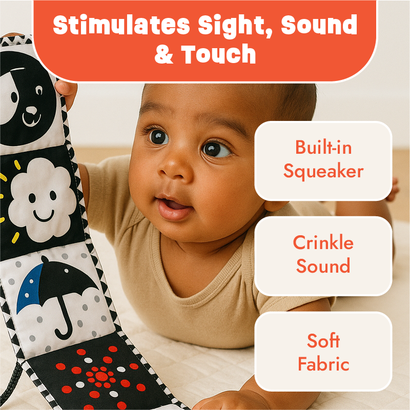 Black and White Cloth Book