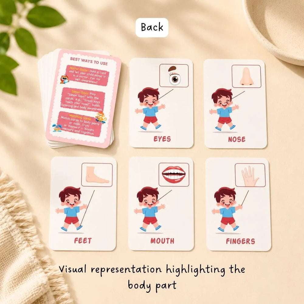 Buy My Body Parts - Flash cards Online - Lillbud 