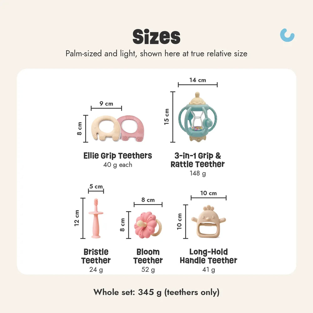Complete Teething Gift Box sizes, shown at true relative size