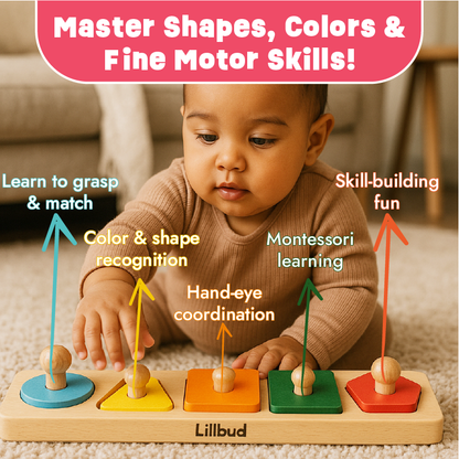 Fit the Shapes Puzzle