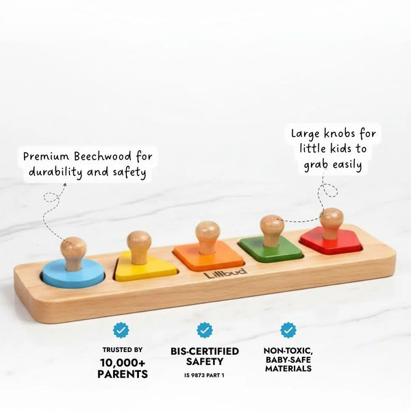 Fit the Shapes Puzzle