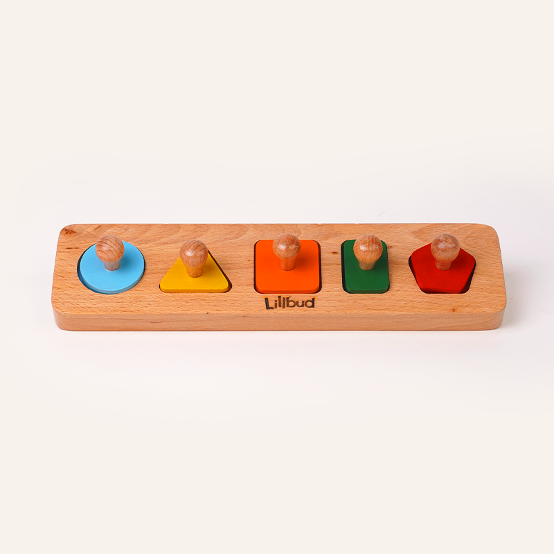 Fit the Shapes Puzzle