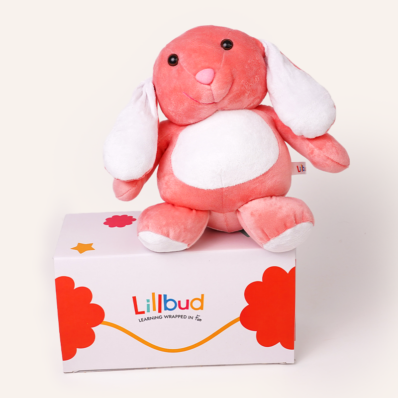 Buy Hop and Pull Bunny Soft Toy for all ages Online - Lillbud 