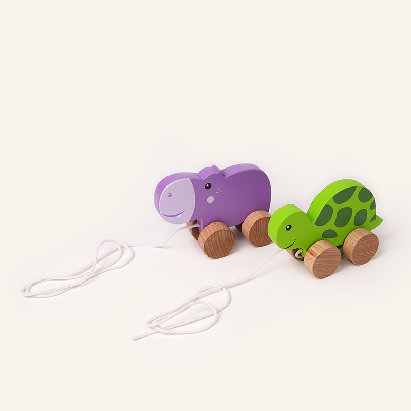 Pull Along Toys set for toddlers - Teaches Empathy, balance and coordination