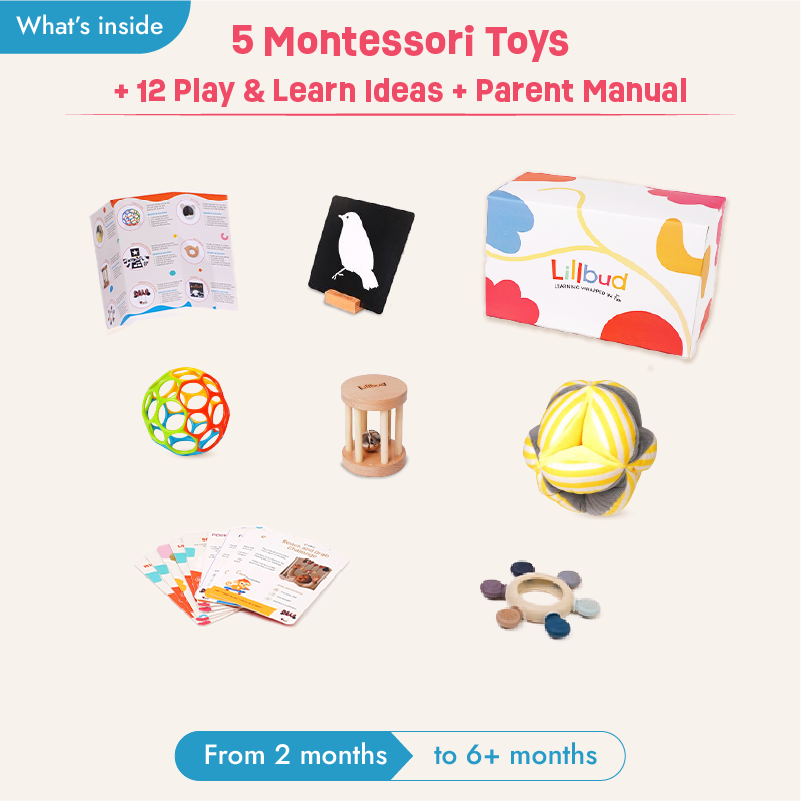 Curious Gaze - 2 to 4 months (Essentials Kit)