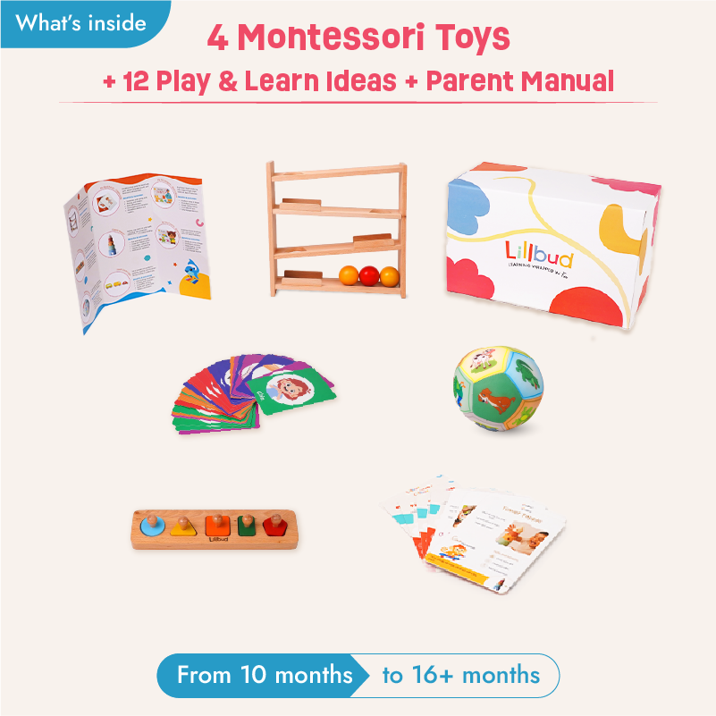 Buy On The Move - 10 to 12 months (Essentials Kit) Online - Lillbud 
