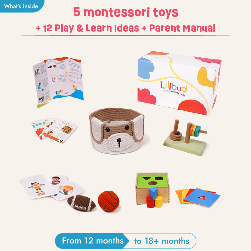 Buy Learning Leaps - 12 to 14 months (Essentials Kit) Online - Lillbud 