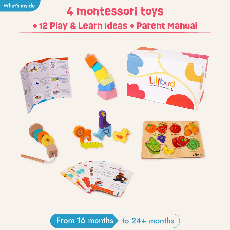 Buy Big Discoveries - 16 to 18 months (Essentials Kit) Online - Lillbud 