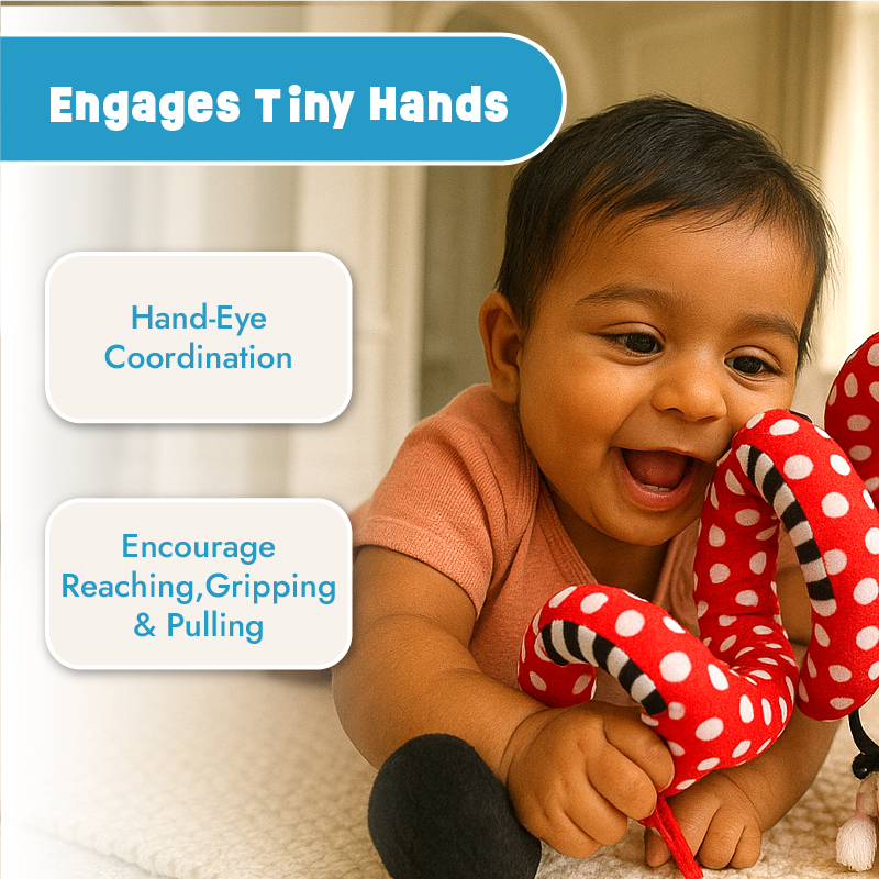 Ladybug Twist - Spiral Hanging Toy