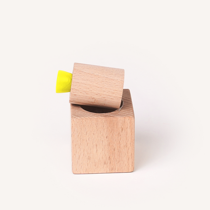 Pincer Grip Puzzle