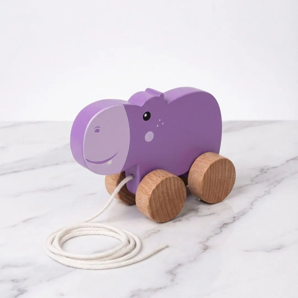 Jungle walkers - Pull Along Hippo & Tortoise Toys set for Toddlers - Teaches Empathy, Balance and Coordination