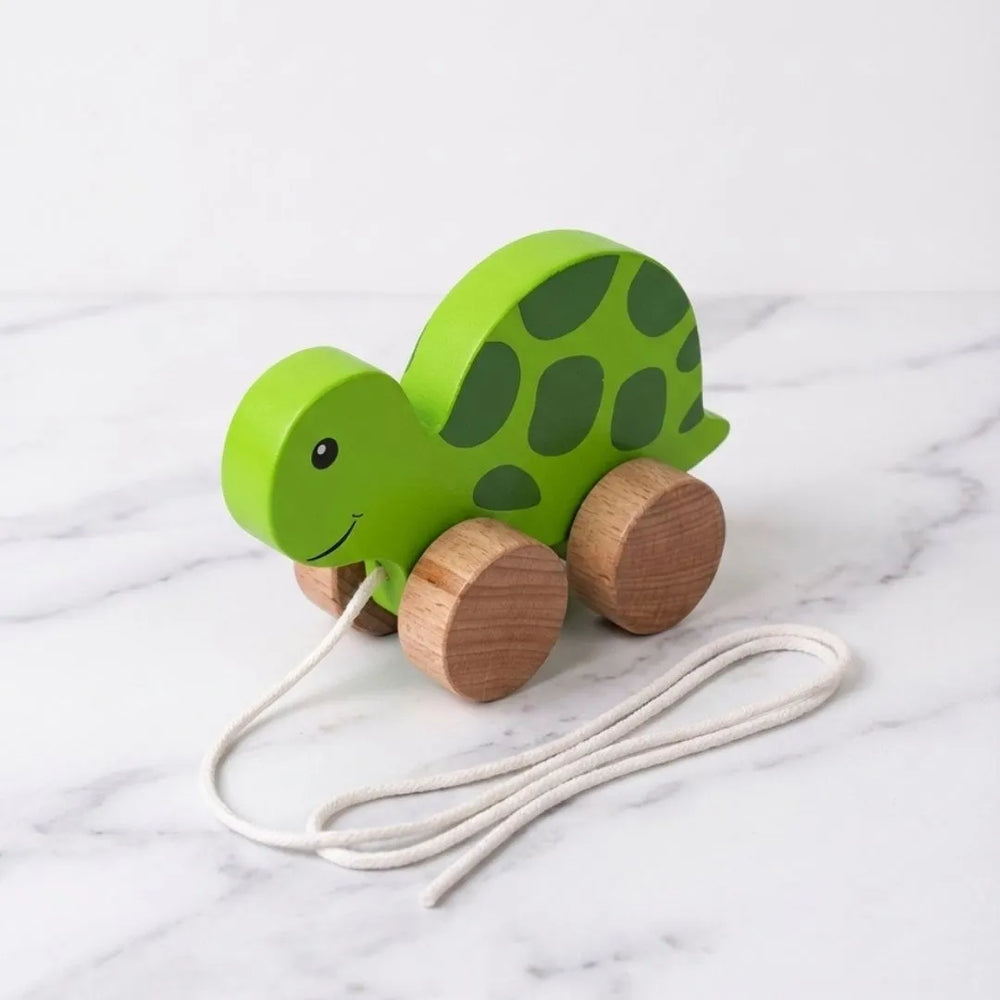 Jungle walkers - Pull Along Hippo & Tortoise Toys set for Toddlers - Teaches Empathy, Balance and Coordination