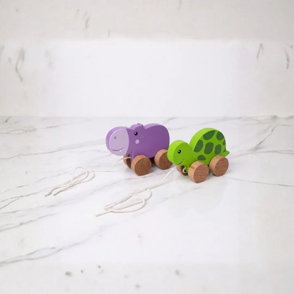 Jungle walkers - Pull Along Hippo & Tortoise Toys set for Toddlers - Teaches Empathy, Balance and Coordination