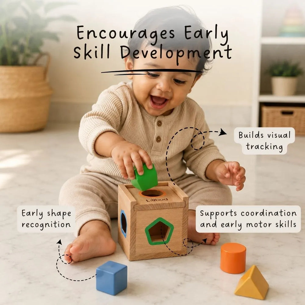 Discovery Shape Sorter - 5 Shapes