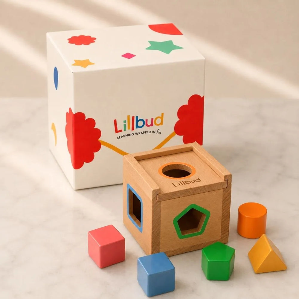 Discovery Shape Sorter - 5 Shapes