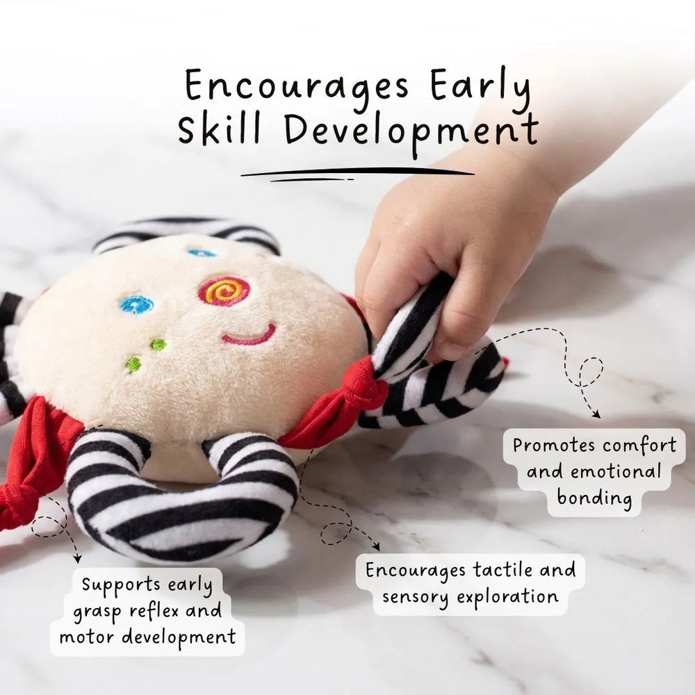 Buy Snuggle Clutch - High contrast sensory soft toy for babies Online - Lillbud