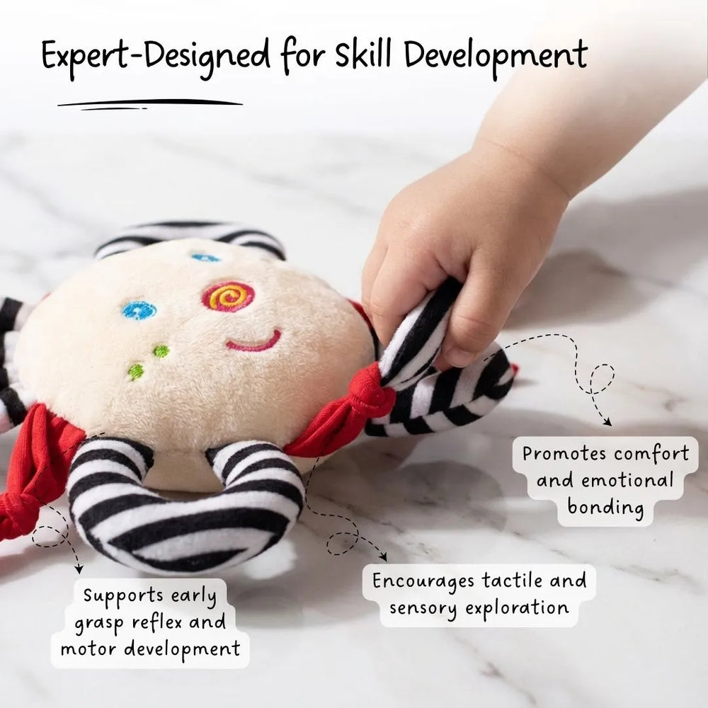 Buy Snuggle Clutch - High contrast sensory soft toy for babies Online - Lillbud 
