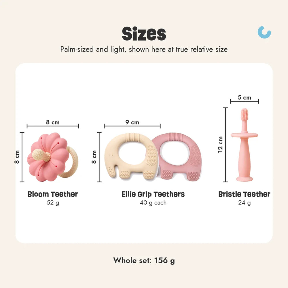 Texture Explorer Trio sizes, shown at true relative size