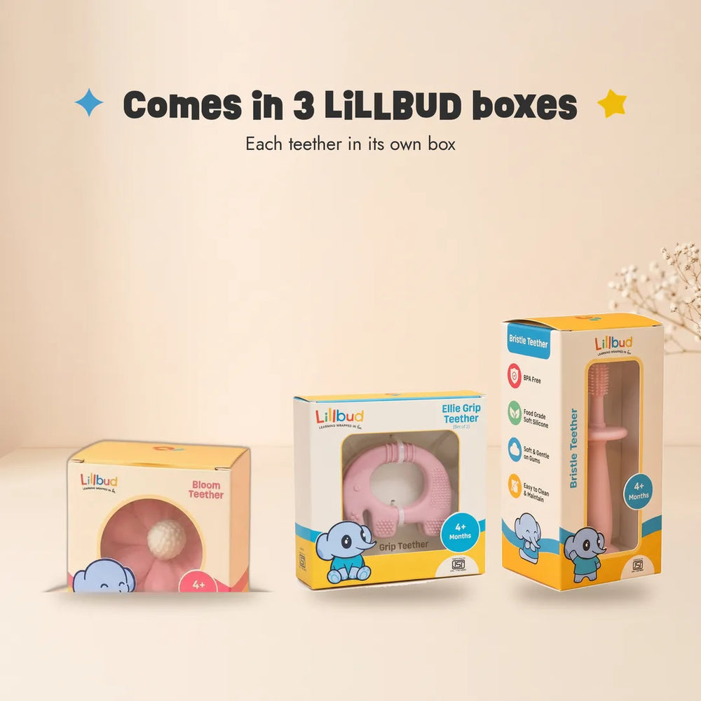 The LiLLBUD boxes in the Texture Explorer Trio