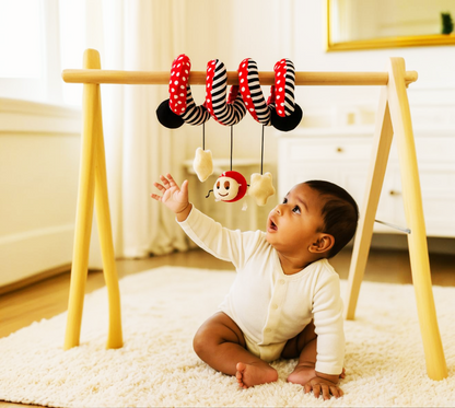 Ladybug Twist - Spiral Hanging Toy