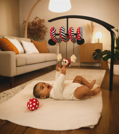 Ladybug Twist - Spiral Hanging Toy