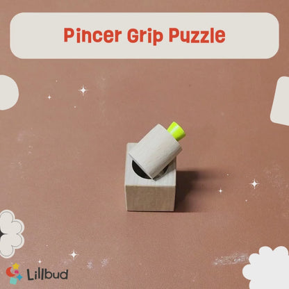 Pincer Grip Puzzle