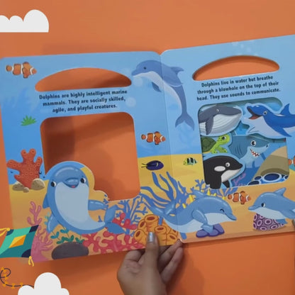 In the Ocean – Window Cut Board Book